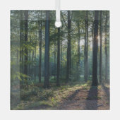 Ornement En Verre Forêt | Forêt Noire Allemagne (Recto)
