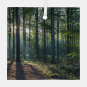 Ornement En Verre Forêt | Forêt Noire Allemagne (Verso)