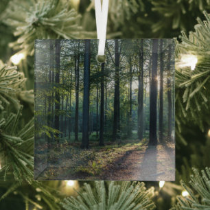 Ornement En Verre Forêt   Forêt Noire Allemagne