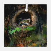 Ornement En Verre Forêt | Raccoon Peeking (Verso)
