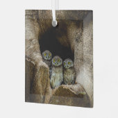 Ornement En Verre Forêt | Trois Chouettes (Avant gauche)