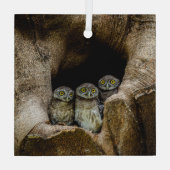 Ornement En Verre Forêt | Trois Chouettes (Verso)