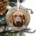 Ornement En Verre Funny Pet Définir Naughty Christmas Photo Glass<br><div class="desc">Amusant animal de compagnie photo ornement en verre de Noël. Caractéristiques de design,  une image de votre chien ou chat,  un ensemble,  le texte 'DEFINE NAUGHTY' et le nom de l'animal. Fait un merveilleux cadeau de gardien.</div>