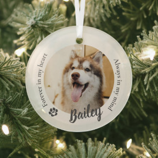 Ornement En Verre Garde de photo personnalisée de chat de chien de c