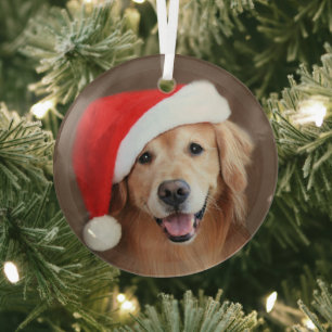 Ornement En Verre Golden Retriever Chien Avec Rouge Santa Chapeau en
