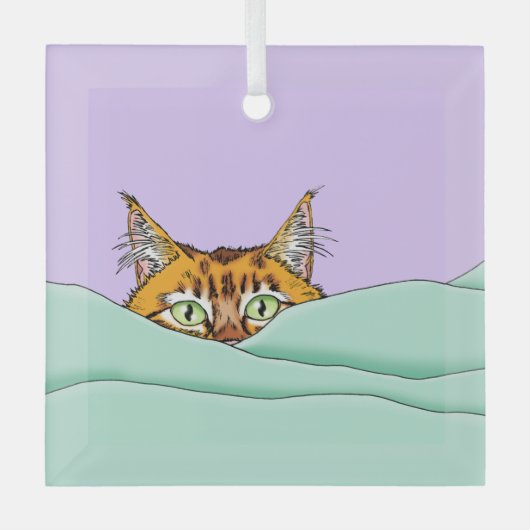 Ornement En Verre Good Morning Orange Cat Funny (Recto)