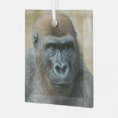 Ornement En Verre Gorilla Brothers - GoBros (Avant gauche)