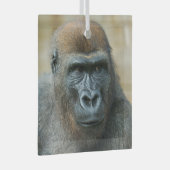 Ornement En Verre Gorilla Brothers - GoBros (Avant droite)