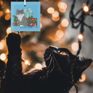 Ornement En Verre Gris blanc Noël Kitten