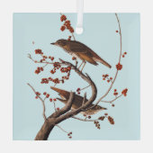 Ornement En Verre Hermite Grive Audubon Oiseau aux baies rouges (Verso)