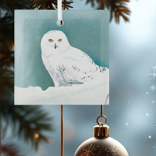Ornement En Verre Hibou blanc ciel arctique hiver neige sarcelle