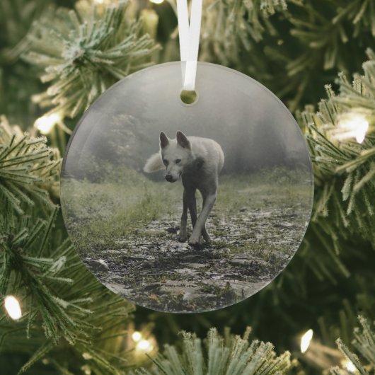 Ornement En Verre Husky Sibérien Blanc (Insitu)