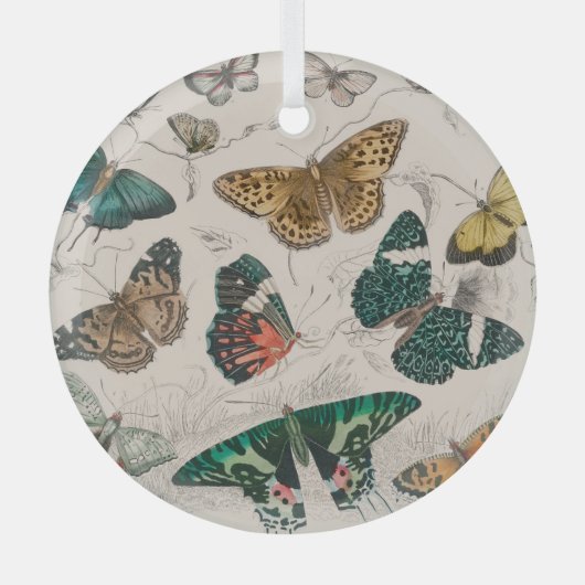 Ornement En Verre Illustration de papillon antique : 1820 Orfèvre (Recto)