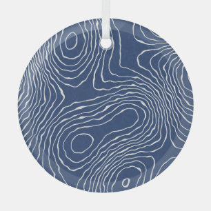 Ornement En Verre Impression topographique biologique de la ligne te