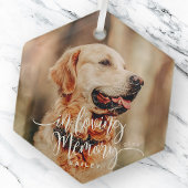 Ornement En Verre In Love Mémoire Animaux Mémorial Simple Photo Mode