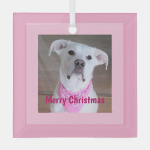Ornement En Verre Joyeux Chien Avec Oeil Douloureux Noël Rose