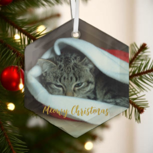 Ornement En Verre Joyeux Noël chat miauleur