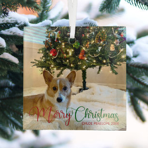 Ornement En Verre Joyeux Noël Personnalisé Animaux de compagnie Phot