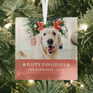 Ornement En Verre Joyeux Pawlidays de Noël pour chien photo moderne