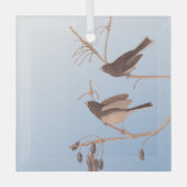 Ornement En Verre Junco Audubon, à l'oeil foncé, Oiseaux de neige su (Recto)