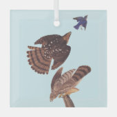 Ornement En Verre La Hawk d'Audubon Stanley chasse un oiseau bleu (Recto)