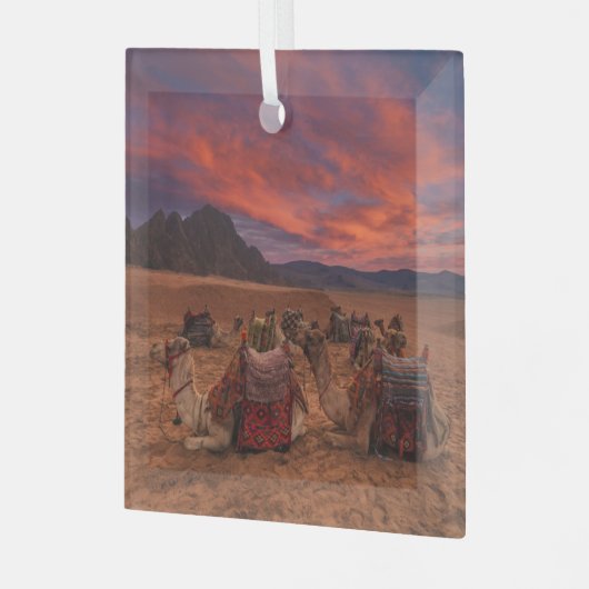 Ornement En Verre Les déserts | Camels Sinai Mountains Egypte (Avant gauche)