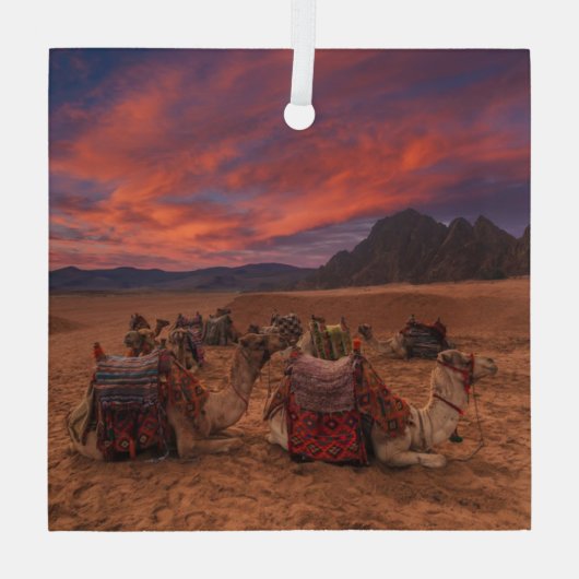 Ornement En Verre Les déserts | Camels Sinai Mountains Egypte (Verso)