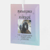 Ornement En Verre Light Beyond the Rainbow Tribute (Avant gauche)