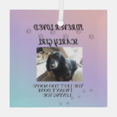 Ornement En Verre Light Beyond the Rainbow Tribute (Verso)