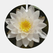 Ornement En Verre Lotus, Nénuphar blanc flottant (Verso)