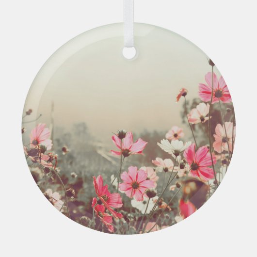 Ornement En Verre Lumière du matin, cosmos rose fleurissant. (Recto)