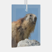 Ornement En Verre Marmotte alpine sur roche (Avant droite)
