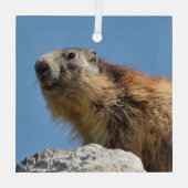 Ornement En Verre Marmotte alpine sur roche (Verso)