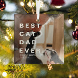 Ornement En Verre Meilleur CAT moderne DAN JAMAIS Photo personnalisé<br><div class="desc">Le Meilleur Père Chat Moderne Jamais Photo Personnalisée Ornement De Noël. Un cadeau parfait pour les amoureux de les chats pendant la saison festive.</div>