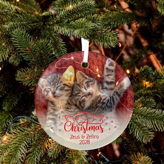 Ornement En Verre Meowy Christmas two pictures fun cat lover