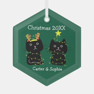 Ornement En Verre Mignons deux chats lumières de Noël Vert personnal