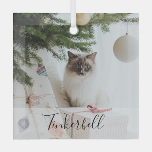 Ornement En Verre Modern Simple Classic at Name and Pet Photo (Recto)