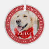 Ornement En Verre Mon premier Noël pour toujours Accueil Moderne Pho (Verso)