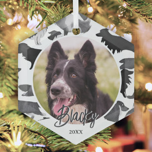 Ornement En Verre Motif Border Collie Nom de Chien Photo Noël