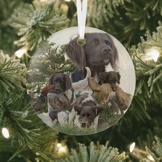 Ornement En Verre Munsterlander (Insitu)