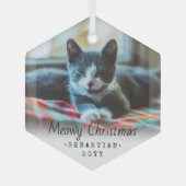 Ornement En Verre N'Importe Quel Texte Meowy Chat de Noël Simple Hex (Recto)