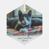 Ornement En Verre N'Importe Quel Texte Meowy Chat de Noël Simple Hex (Verso)