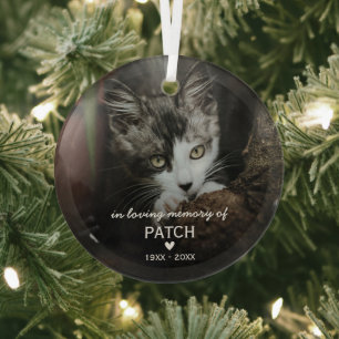 Ornement En Verre Noël Souvenir Photo de Chat en Mémoire Aimante