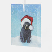 Ornement En Verre Noir de Noël Ours Cub (Avant gauche)