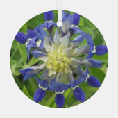 Ornement En Verre Oeil du Texas Bluebonnet Ornament (Verso)