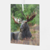 Ornement En Verre Oie (Avant gauche)