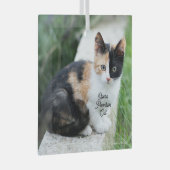 Ornement En Verre Opera Phantom Cat (Avant droite)