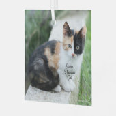 Ornement En Verre Opera Phantom Chat (Avant gauche)