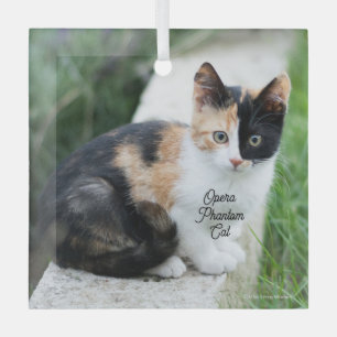 Ornement En Verre Opera Phantom Chat