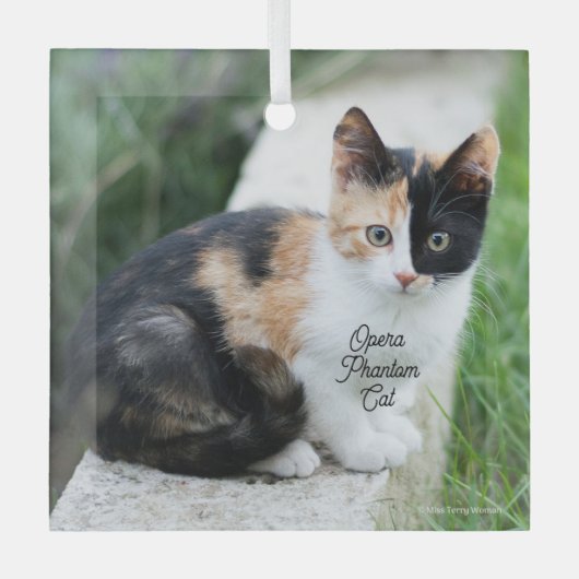 Ornement En Verre Opera Phantom Chat (Recto)